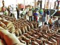 तूर खरेदीला मुदतवाढ; केंद्राची परवानगी - Marathi News | Expansion of purchase of tire; Center Permission | Latest maharashtra News at Lokmat.com