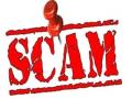 एनएसईएल घोटाळा,तपासासाठी दोन उपजिल्हाधिकारी दर्जाची पदे - Marathi News | NSEL scam, two deputy collector status posts for investigation | Latest maharashtra News at Lokmat.com