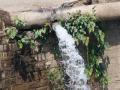 चोपडय़ात हजारो लिटर पाणी वाया - Marathi News | Chopdaaya wasted thousands of liters of water | Latest jalgaon News at Lokmat.com