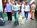 रेल्वेस्थानकात बॉम्बशोधक पथकाची तपासणी - Marathi News | Inspector of the bomb detection squad at the railway station | Latest nashik News at Lokmat.com