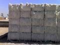 देशात तीन कोटींवर कापूस गाठींची खरेदी! - Marathi News | Three million in the purchase of cotton bales! | Latest maharashtra News at Lokmat.com