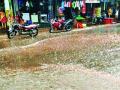 वळवाच्या पावसाने झोडपले - Marathi News | Due to the dew, the rain was scorched | Latest maharashtra News at Lokmat.com