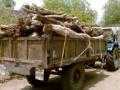 विनापरवाना लाकूड भरलेला ट्रॅक्टर जप्त - Marathi News | Unprotected wood filled the tractor | Latest vardha News at Lokmat.com