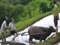 राज्याचे कृषी पर्यटन धोरण लवकरच- जयकुमार रावल - Marathi News | The state's agricultural tourism policy will soon - Jayakumar Rawal | Latest maharashtra News at Lokmat.com