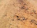 काकडदरा पुनर्वसनातील रस्त्याची दुरवस्था - Marathi News | Road to the Kakadwara Rehabilitation Road | Latest vardha News at Lokmat.com