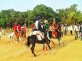 माथेरानमध्ये रंगला अश्व शर्यतींचा थरार - Marathi News | Matheran's Rangala Horse Race Thunder | Latest mumbai News at Lokmat.com