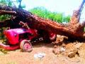 सैराट वादळाने झाडे जमीनदोस्त - Marathi News | Serrate storms to ravage plants | Latest satara News at Lokmat.com