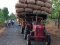 डुलकी लागल्याने ट्रॅक्टरखाली पडून युवकाचा मृत्यू - Marathi News | Youth dies after falling under the tractor due to nausea | Latest nagpur News at Lokmat.com