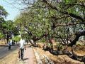 पालखी मार्गाच्या दुरुस्तीला मुहूर्त मिळणार कधी? - Marathi News | When will the Palkhi corridor get its start? | Latest pune News at Lokmat.com