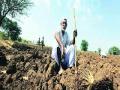 शेतकरी उद्यापासून संपावर - Marathi News | Farmer Strike from tomorrow | Latest maharashtra News at Lokmat.com