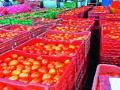 आयटीनगरीतही पोहचले संपाचे लोण - Marathi News | The pickle pickle is also available in ITG | Latest pune News at Lokmat.com