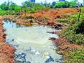रासायनिक प्रकल्पाने पर्यावरणाचा ऱ्हास - Marathi News | Environmental degradation by chemical project | Latest maharashtra News at Lokmat.com