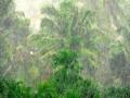 मान्सून ९८ टक्के - Marathi News | Monsoon is 98 percent | Latest maharashtra News at Lokmat.com