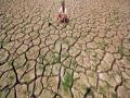 धुळ्यातील दुष्काळसदृश गावांना सवलतींचा आधार - Marathi News | Support for discounts for drought-hit villages | Latest dhule News at Lokmat.com