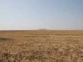बुलेट ट्रेनकरिता जमीन न देण्याचा ग्रामस्थांचा निर्धार - Marathi News | The villagers' determination to not give land for the bullet train | Latest maharashtra News at Lokmat.com
