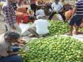 जळगावात लोणच्याच्या कै:या खरेदीसाठी उसळली गर्दी - Marathi News | Jalgaon Pickle Caps: The rush to buy this | Latest jalgaon News at Lokmat.com