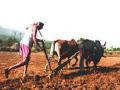 ‘सावकारी’सारखी ‘सरसकट’ कर्जमाफी ठरणार ‘फार्स’? - Marathi News | 'Fiscal' will be the 'most important' debt waiver of 'Savarkari' | Latest maharashtra News at Lokmat.com