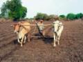 पेरणीची लगबग... - Marathi News | Sowing time ... | Latest vardha News at Lokmat.com