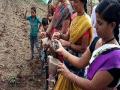 खामगावात स्वाभीमानीची दगड पेरणी! - Marathi News | Sowing self-respect stones in Khamgaon! | Latest maharashtra News at Lokmat.com