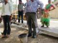 बैलबंडीने खांब कोसळल्याने गाईचा मृत्यू - Marathi News | Cows died due to collapsing of pedestrians | Latest vardha News at Lokmat.com