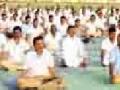 १५ हजार साधकांचा योगाभ्यास - Marathi News | Yoga for 15 thousand seekers | Latest yavatmal News at Lokmat.com