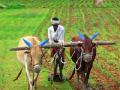शेतक-यांसाठी खूशखबर ! 34 हजार कोटींच्या कर्जमाफीला मान्यता - Marathi News | Good for farmers! 34 thousand crores of loan sanctioned | Latest maharashtra News at Lokmat.com