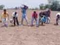 पऱ्हाटीला जगविण्यासाठी बादलीने पाणी - Marathi News | Water from the bucket to survive parahti | Latest chandrapur News at Lokmat.com