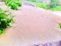 जिल्ह्यात नद्यांच्या पातळीत वाढ - Marathi News | Increase in the level of rivers in the district | Latest raigad News at Lokmat.com