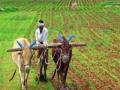 मुख्यमंत्र्यांनी फेटाळला २५ टक्क्यांचा फॉर्म्युला - Marathi News | Chief Minister refuses 25 percent of formula | Latest maharashtra News at Lokmat.com