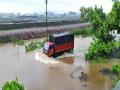 शहराला पावसाने झोडपले - Marathi News | The city was thundered by rain | Latest navi-mumbai News at Lokmat.com