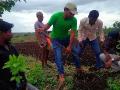 रोपांच्या लागवडीसाठी युवक सरसावले! - Marathi News | Youth came to planting the seedlings! | Latest vashim News at Lokmat.com