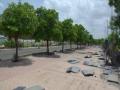 पांझरा चौपाटीच्या कुंपणासाठी 25 लाखांची तरतुद! - Marathi News | 25 lakh provision for fencing of Panjhra Chowpatty! | Latest dhule News at Lokmat.com