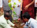 पर्यावरण संतुलनासाठी वृक्ष लागवड काळाची गरज - Marathi News | The need for timely planting of trees for environmental balance | Latest gondia News at Lokmat.com