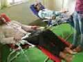 बाबूजींना रक्तदानाने आदरांजली - Marathi News | Babuji honored with blood donation | Latest amravati News at Lokmat.com