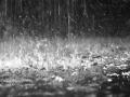 कोकण-गोव्यात पावसाची संततधार - Marathi News | Rainfall of rain in Konkan-Goa | Latest maharashtra News at Lokmat.com