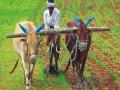 राज्यात ४० टक्के पेरण्या पूर्ण - Marathi News | Complete 40% sown in the state | Latest maharashtra News at Lokmat.com