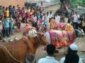 Video - पाण्यासाठी मांडला गुप्तेश्वर महाराजांच्या चरणी घट - Marathi News | Video - Declaration of the feet of Mandla Gupteeshwar Maharaj for water | Latest maharashtra News at Lokmat.com