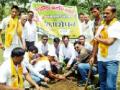 जिल्ह्यात ठिकठिकाणी वृक्ष लागवडीला वेग - Marathi News | In the district, the cultivation of trees at all places in the district | Latest gondia News at Lokmat.com
