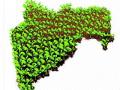 राज्यात विक्रम, लावले पाच कोटी वृक्ष ! - Marathi News | Vikram, five crore trees planted in the state! | Latest maharashtra News at Lokmat.com