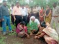 सात दिवसांत तालुक्यात १ लाख १७ हजार ७७७ झाडांचे रोपण - Marathi News | Planting of 1, 17, 777 trees in seven days in the taluka | Latest vardha News at Lokmat.com