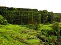 गड-किल्ल्यांवर वनसंपत्ती उभारणार - Marathi News | Forests will be built on fort forts | Latest maharashtra News at Lokmat.com