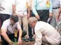 लागवडीच्या वृक्षांचे होणार दर महिन्याला मोजमाप - Marathi News | Planting of trees will be measured every month | Latest bhandara News at Lokmat.com