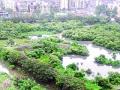 होल्डिंग पॉण्डमुळे पुराचा धोका - Marathi News | The risk of flood due to holding pond | Latest maharashtra News at Lokmat.com