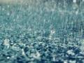 राज्यातील 12 जिल्ह्यांमध्ये पावसाची परिस्थिती चिंताजनक - Marathi News | Rainfall is alarming in 12 districts of the state | Latest maharashtra News at Lokmat.com