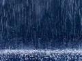 पावसाचं पुनरागमन - Marathi News | Rainy return | Latest maharashtra News at Lokmat.com
