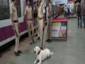 मुंबई : चर्चगेट रेल्वे स्थानक बॉम्बनं उडवण्याची धमकी - Marathi News | Mumbai: Threat to fly Churchgate railway station Bomboan | Latest maharashtra News at Lokmat.com