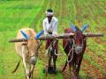 कर्जमाफीसाठी नव्या गाईडलाईनच्या विचारात राज्य सरकार - Marathi News | State government considering the new guideline for debt waiver | Latest maharashtra News at Lokmat.com