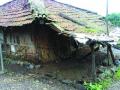 चुकीच्या सर्वेक्षणामुळे लाभार्थी वंचित - Marathi News | Due to wrong survey, the beneficiary is deprived | Latest maharashtra News at Lokmat.com