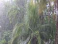 24 तासांत मुंबई, कोकणात मुसळधार पावसाचा अंदाज - Marathi News | Much of the rainy season in Mumbai, Konkan in 24 hours | Latest maharashtra News at Lokmat.com