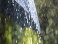 राज्यात धरणक्षेत्रात पाऊस - Marathi News | Rain in the dam area in the state | Latest maharashtra News at Lokmat.com